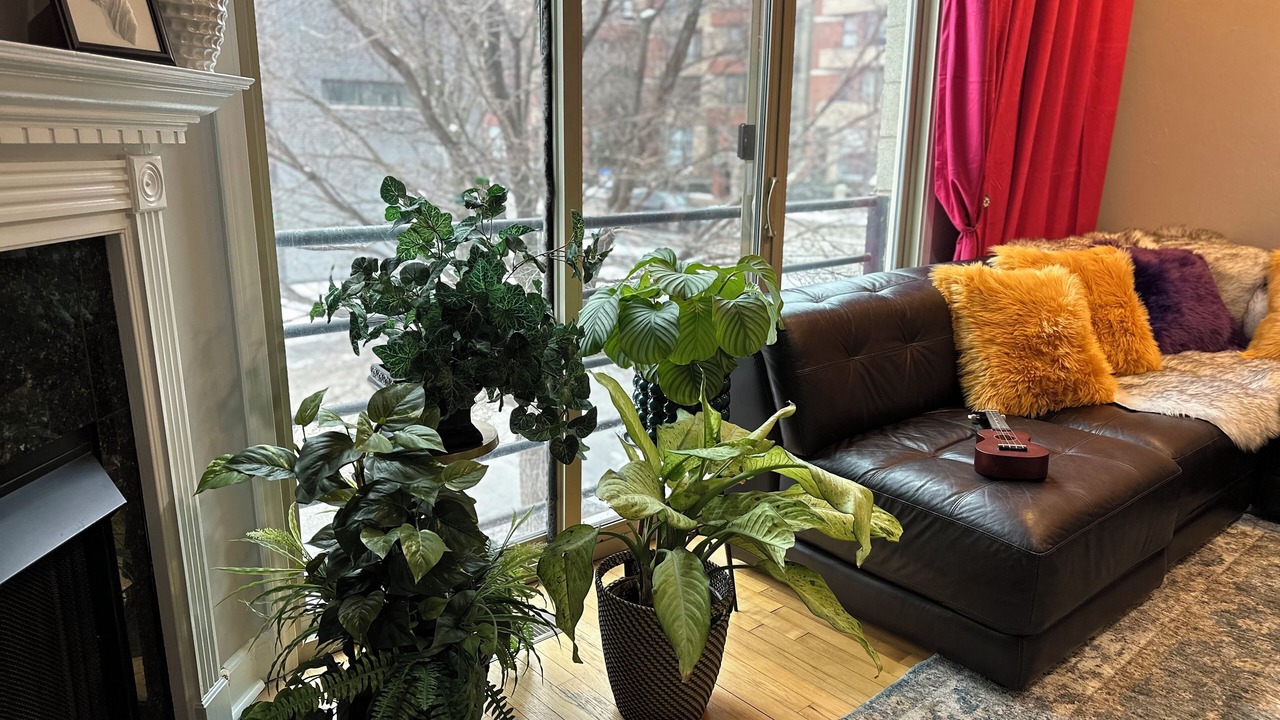 Photo of Livingroom in West Town