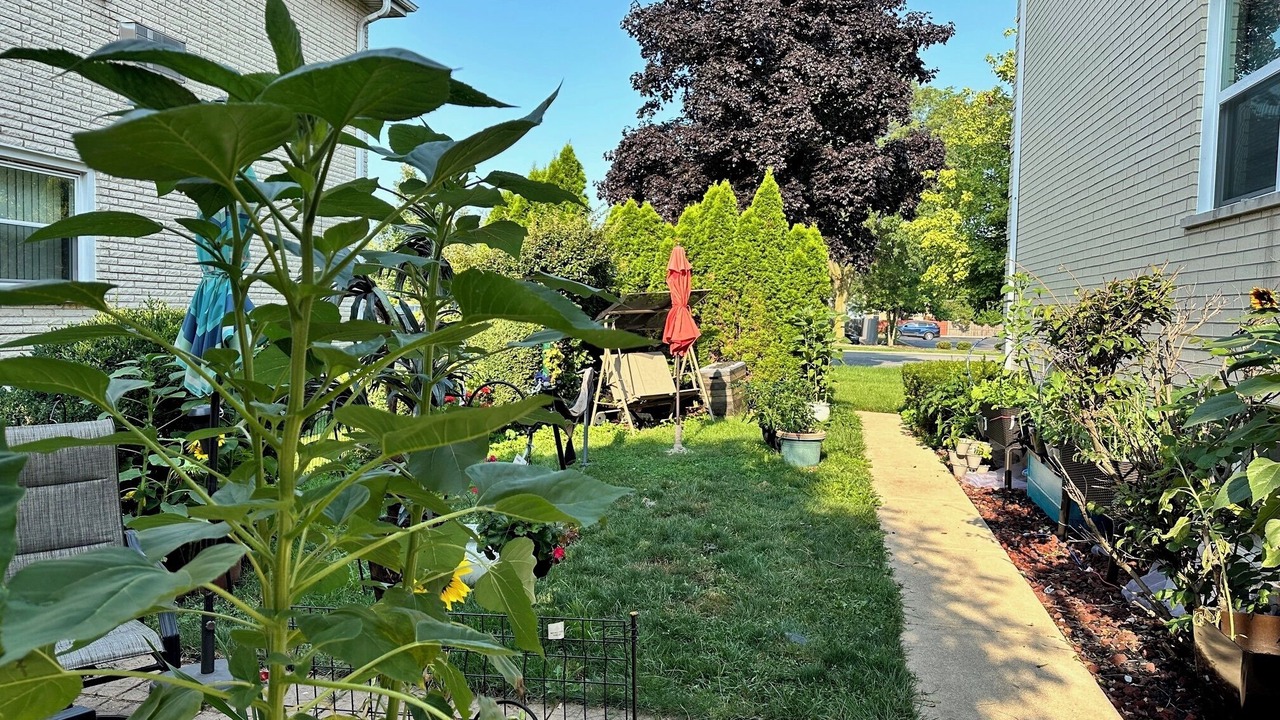 Photo of Outdoor in La Grange