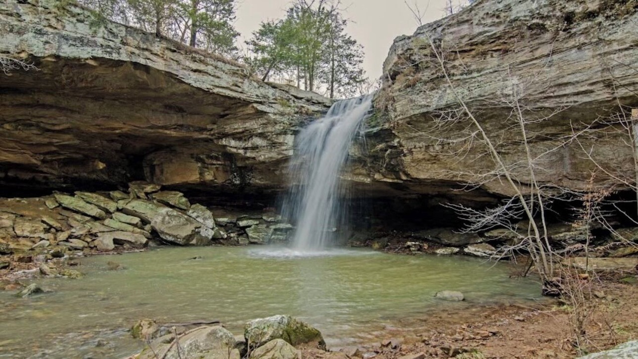 Photo of Others in Wolf Creek