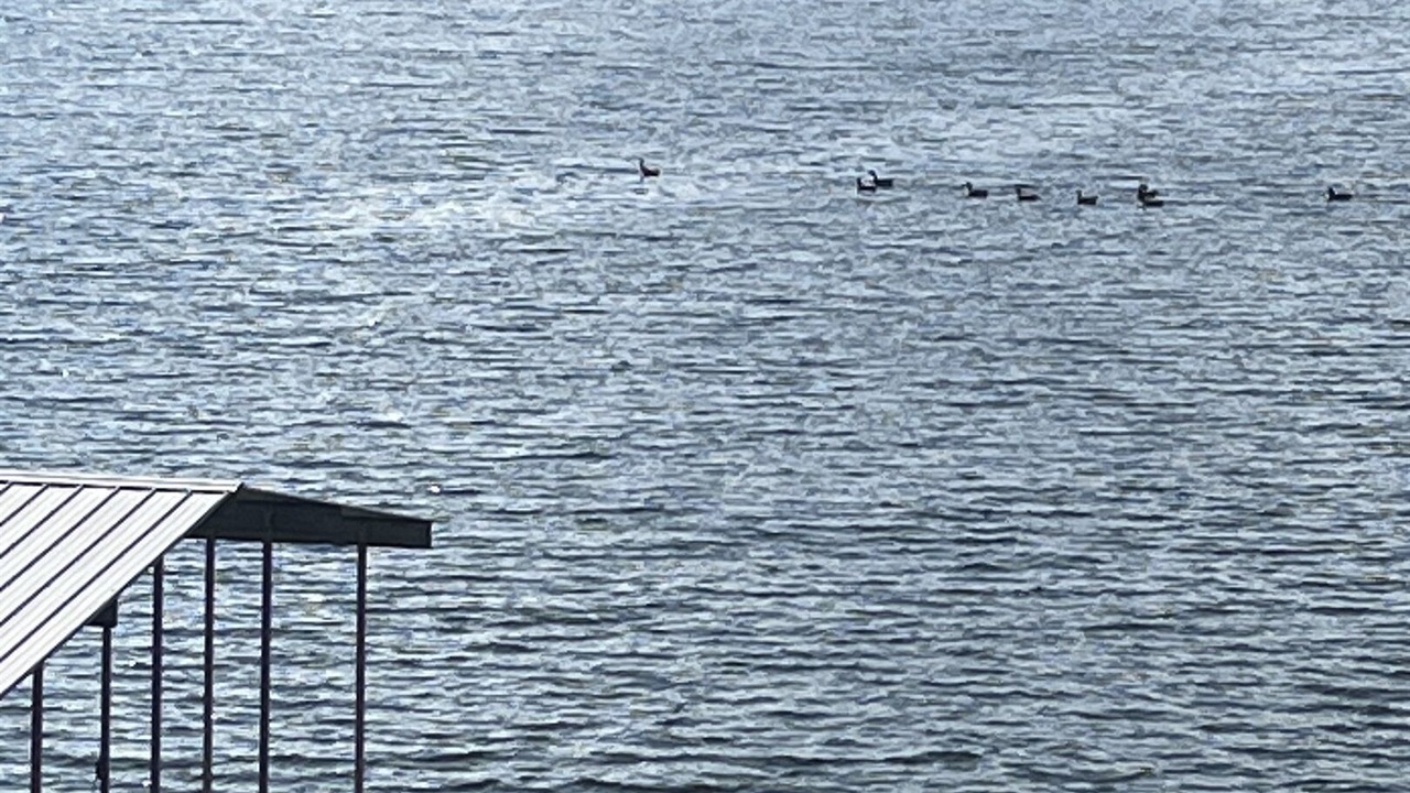 Photo of Outdoor in Marion