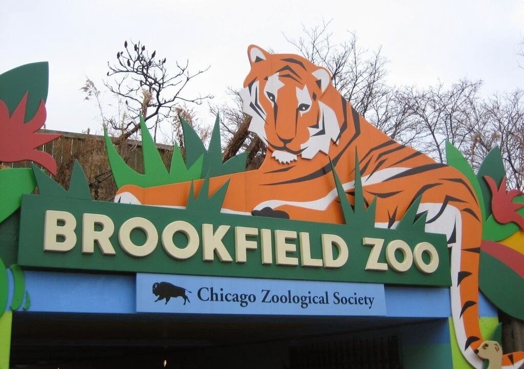 Photo of Others in Brookfield
