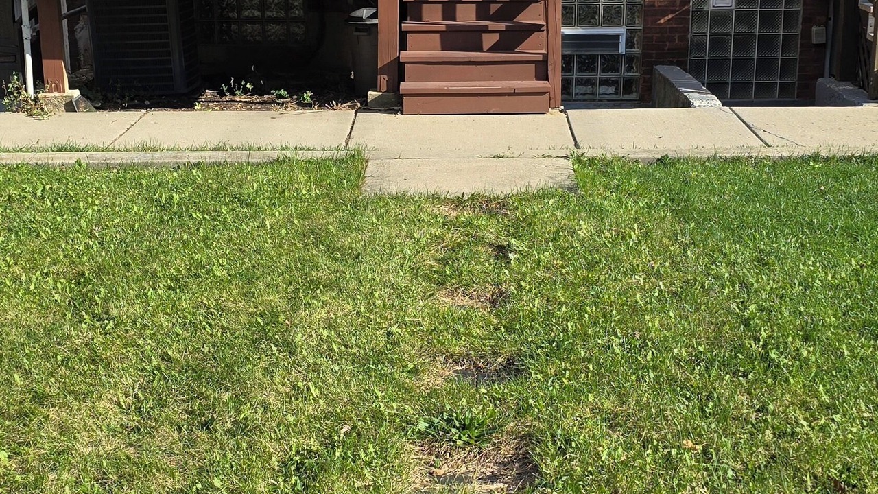 Photo of Outdoor in Oak Park