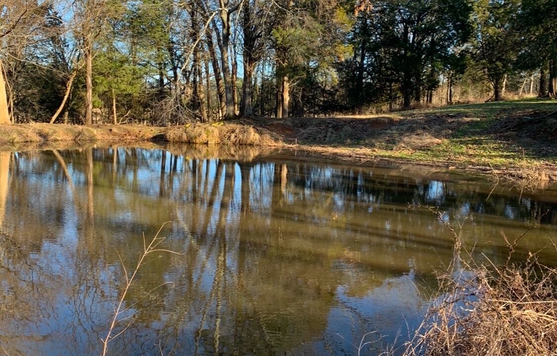 Photo of Others in Pope County