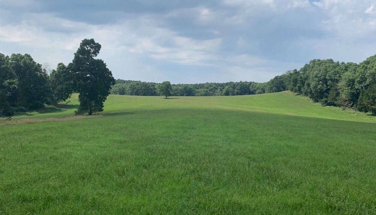 Photo of Others in Pope County