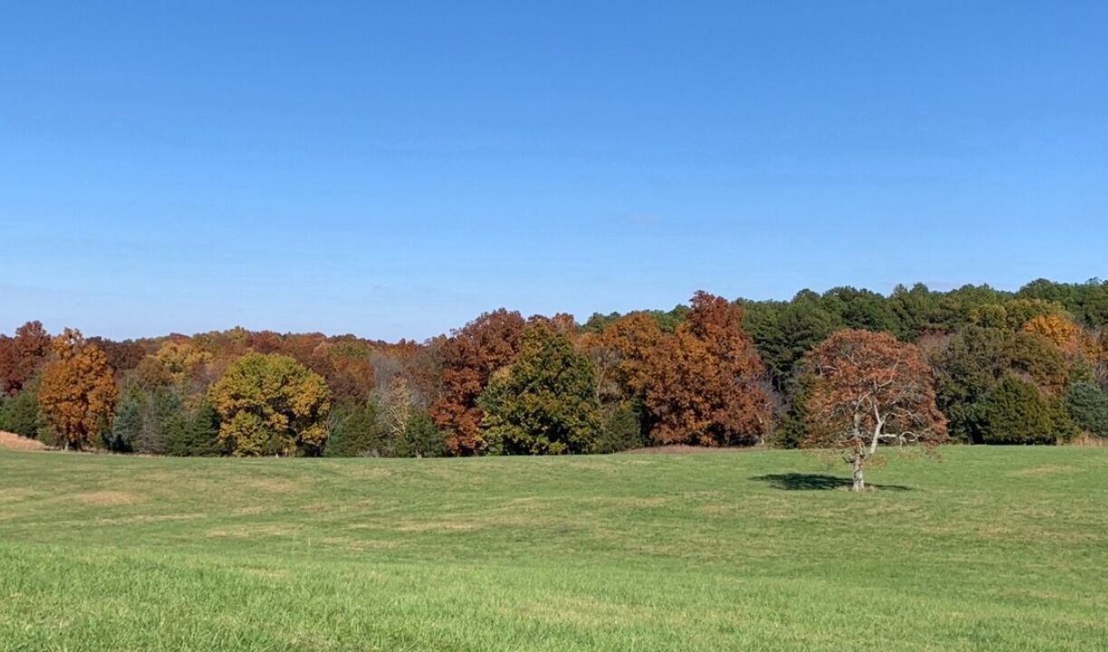 Photo of Others in Pope County