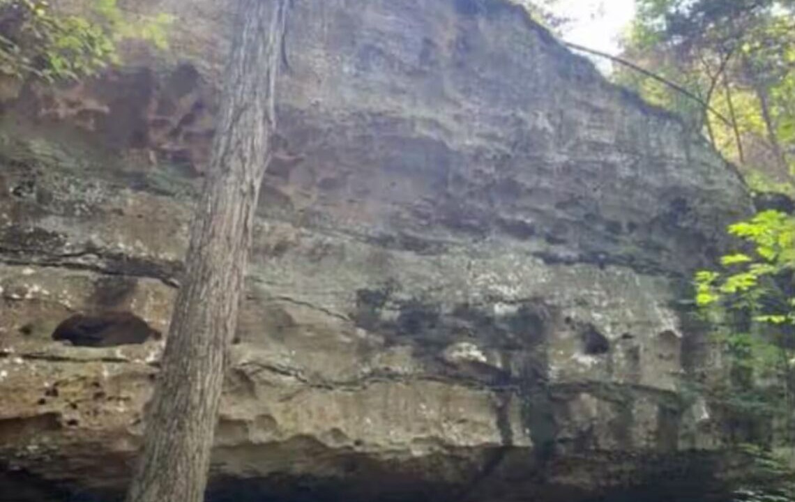 Photo of Others in Pope County
