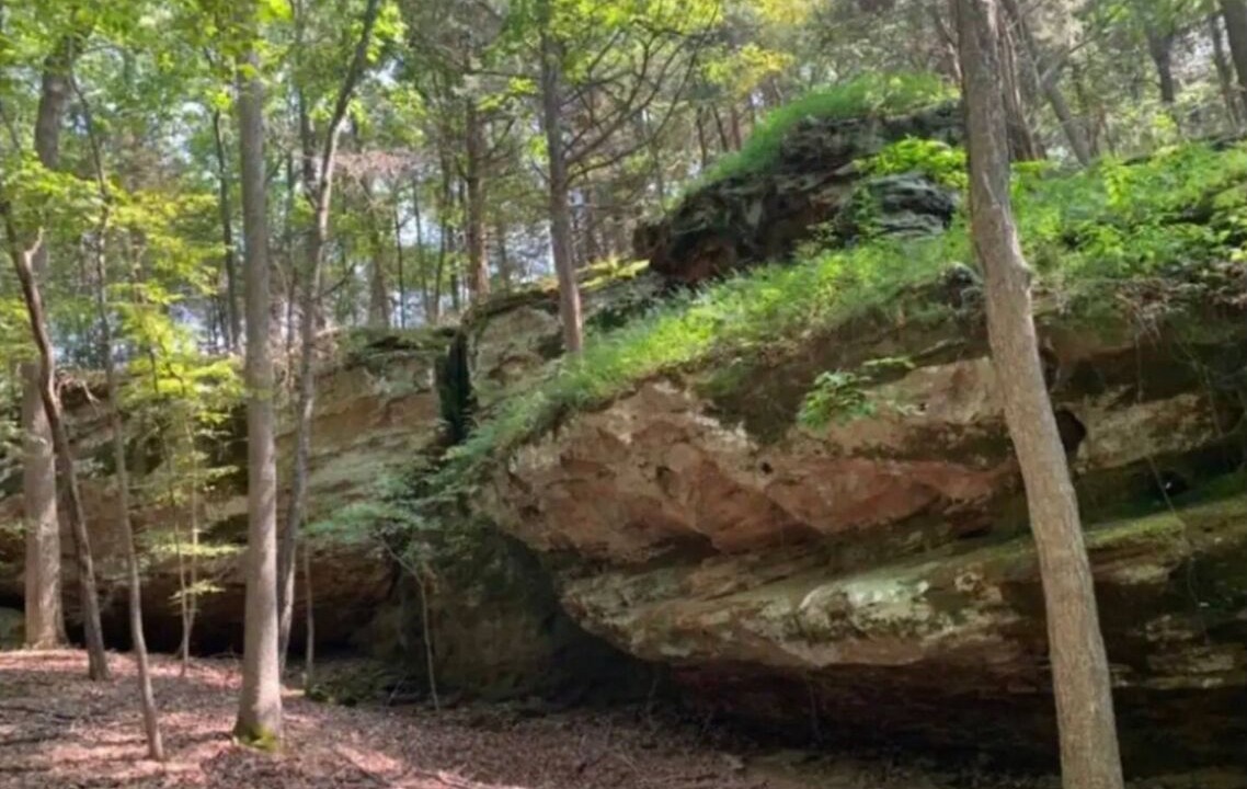 Photo of Others in Pope County
