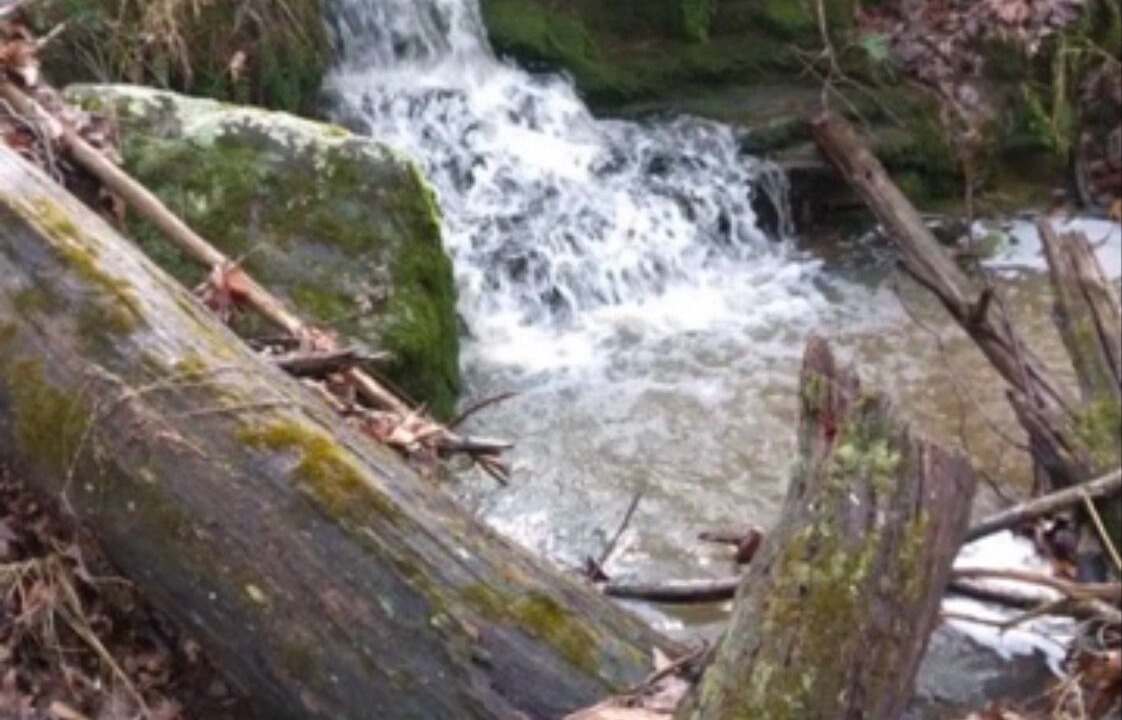Photo of Others in Pope County