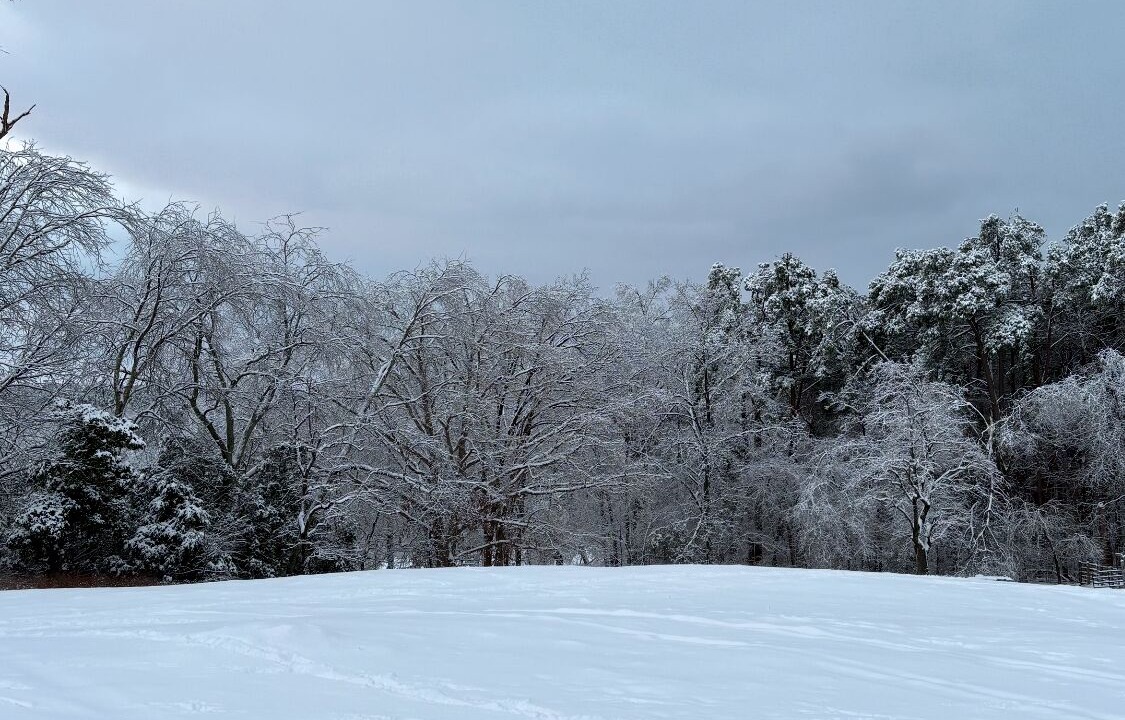 Photo of Others in Pope County