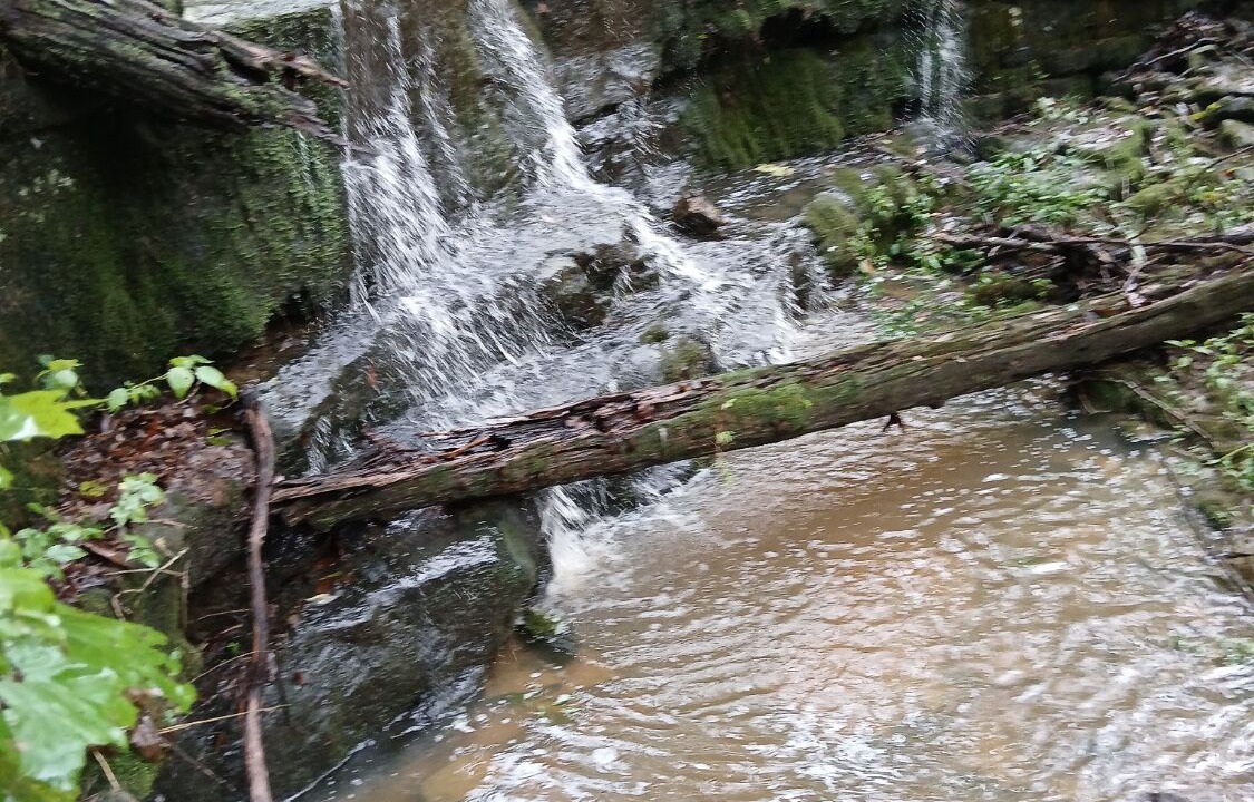 Photo of Others in Pope County