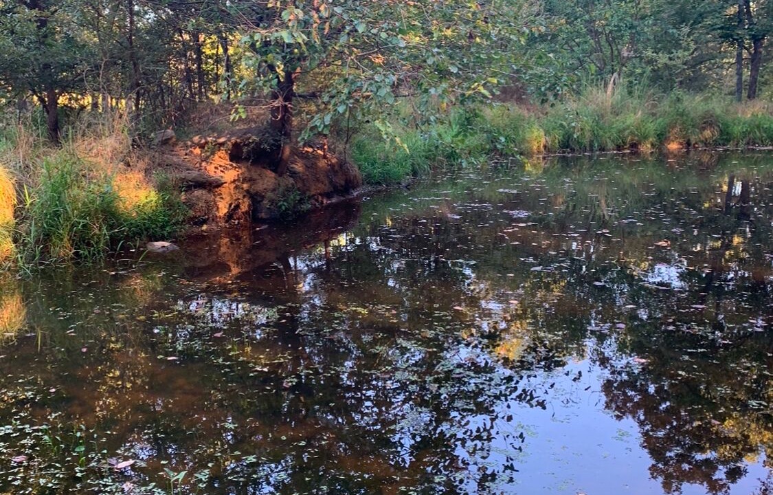 Photo of Others in Pope County