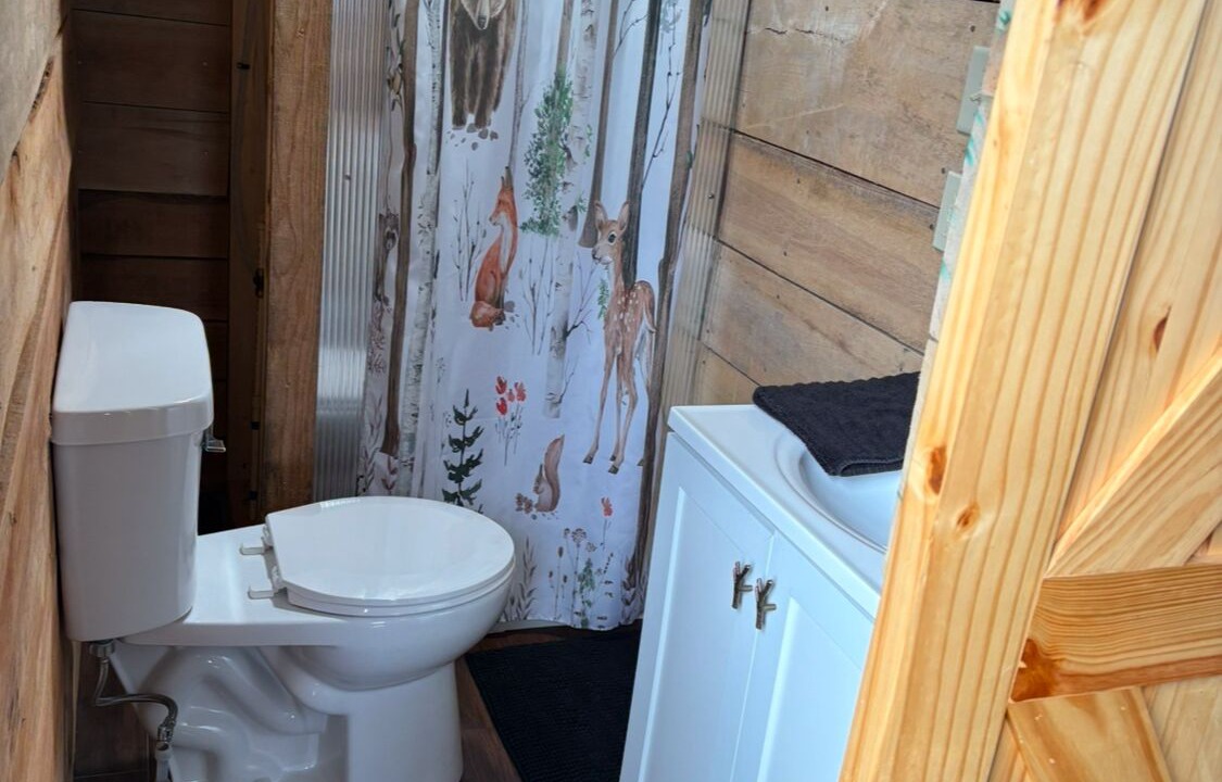 Photo of Bathroom in Pope County