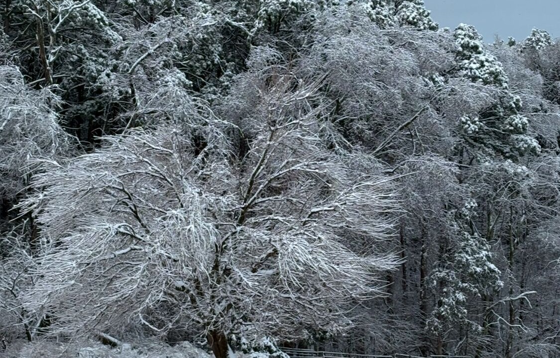 Photo of Others in Pope County