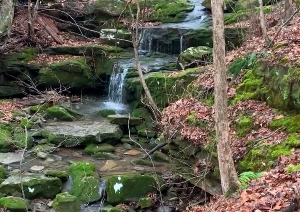 Photo of Others in Pope County