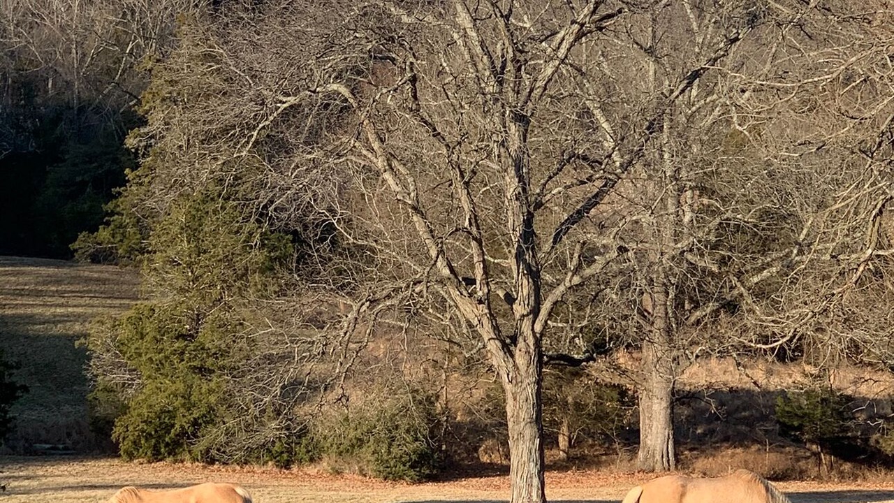 Photo of Others in Pope County