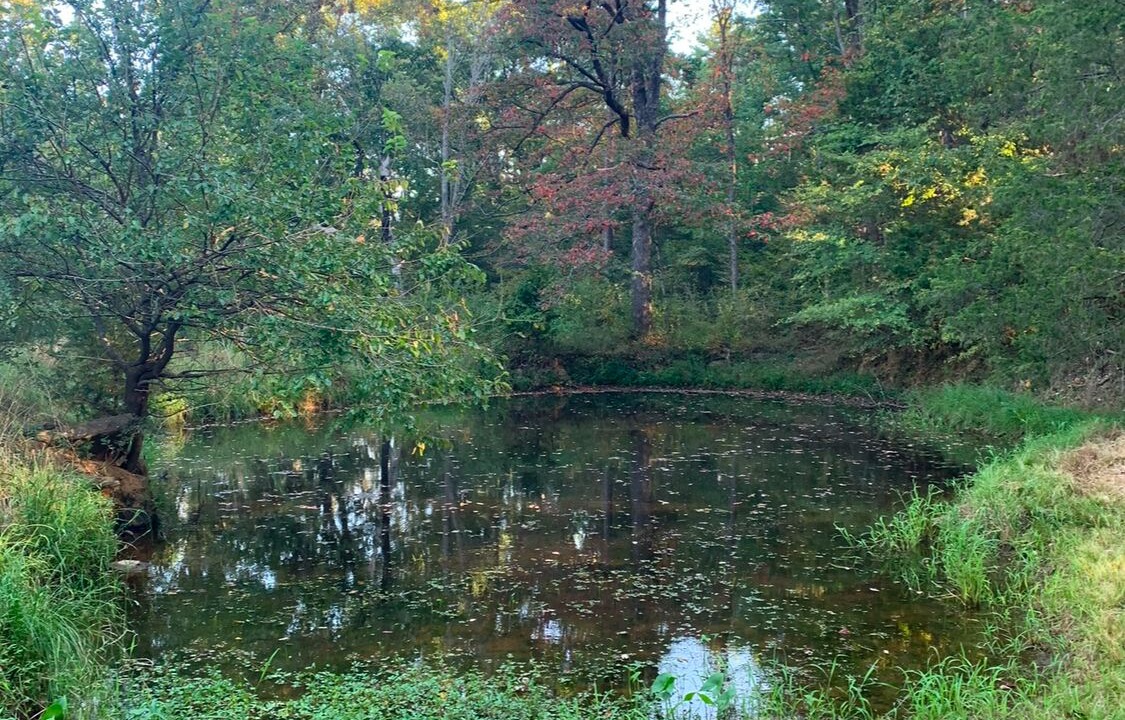 Photo of Others in Pope County