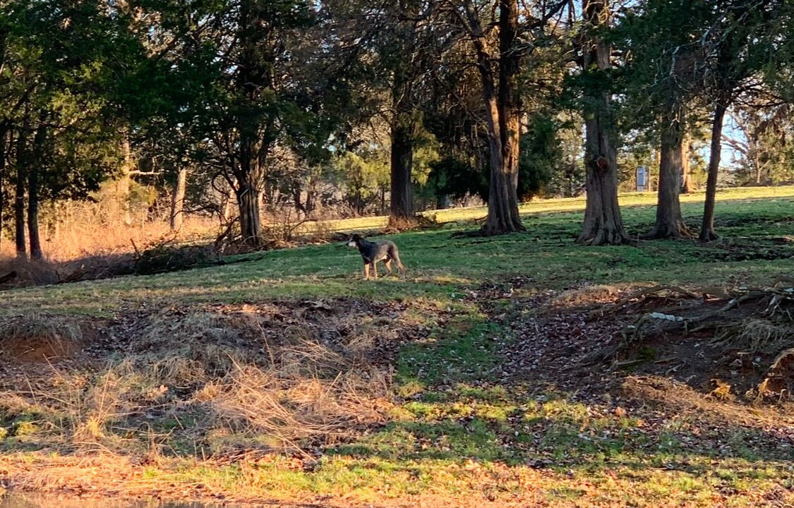 Photo of Others in Pope County