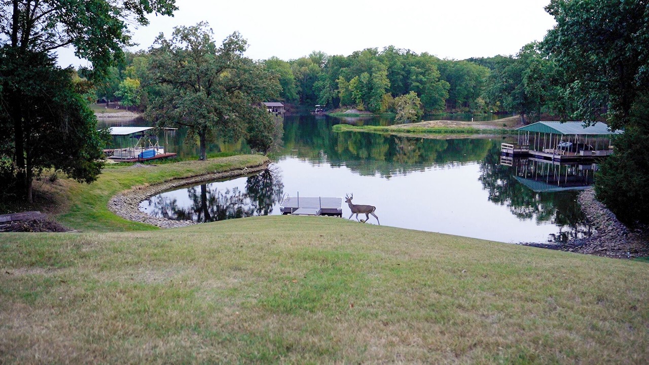Photo of Others in Wolf Creek