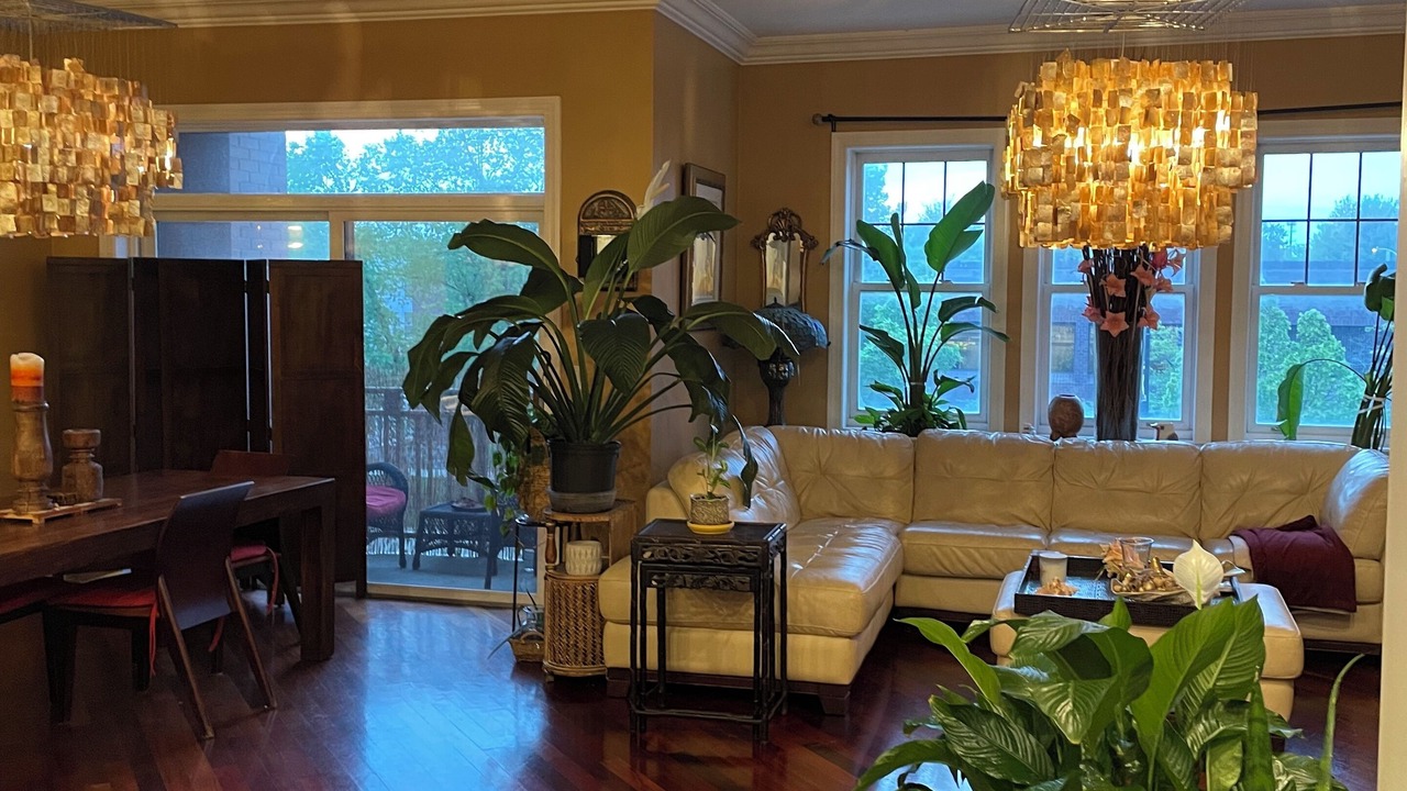 Photo of Livingroom in Oakland