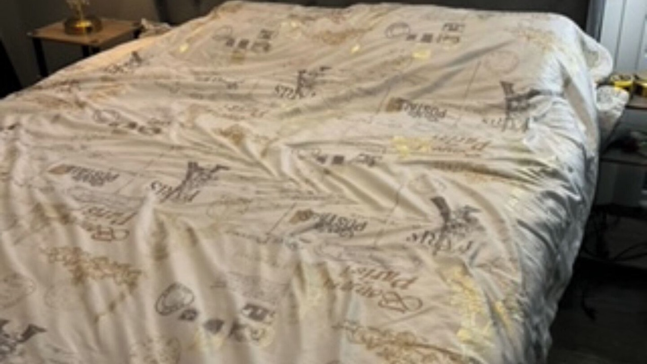 Photo of Bedroom in Morgan Park