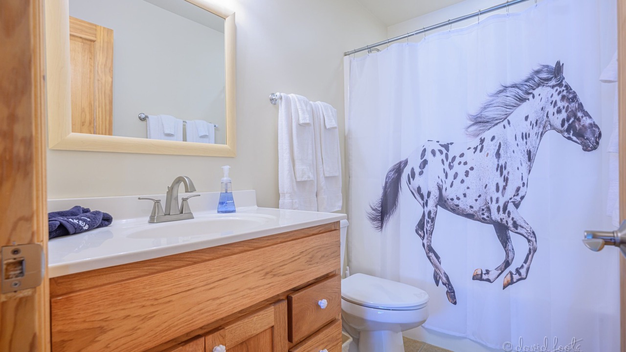 Photo of Bathroom in The Galena Territory
