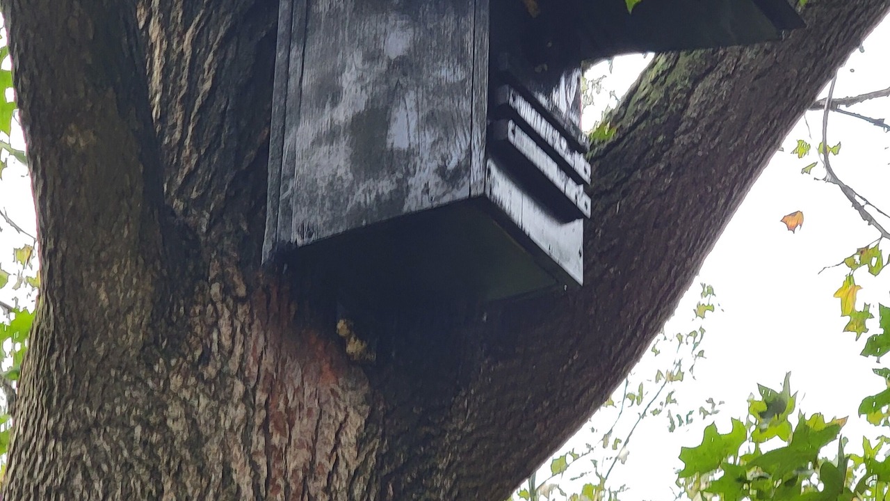 Photo of Others in Dundas