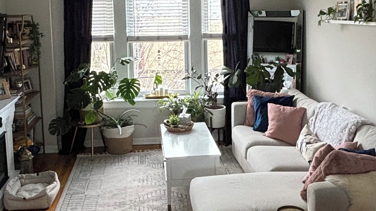 Photo of Livingroom in East Albany Park