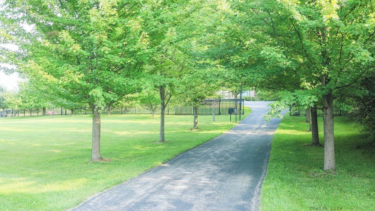 Photo of Outdoor in Marengo
