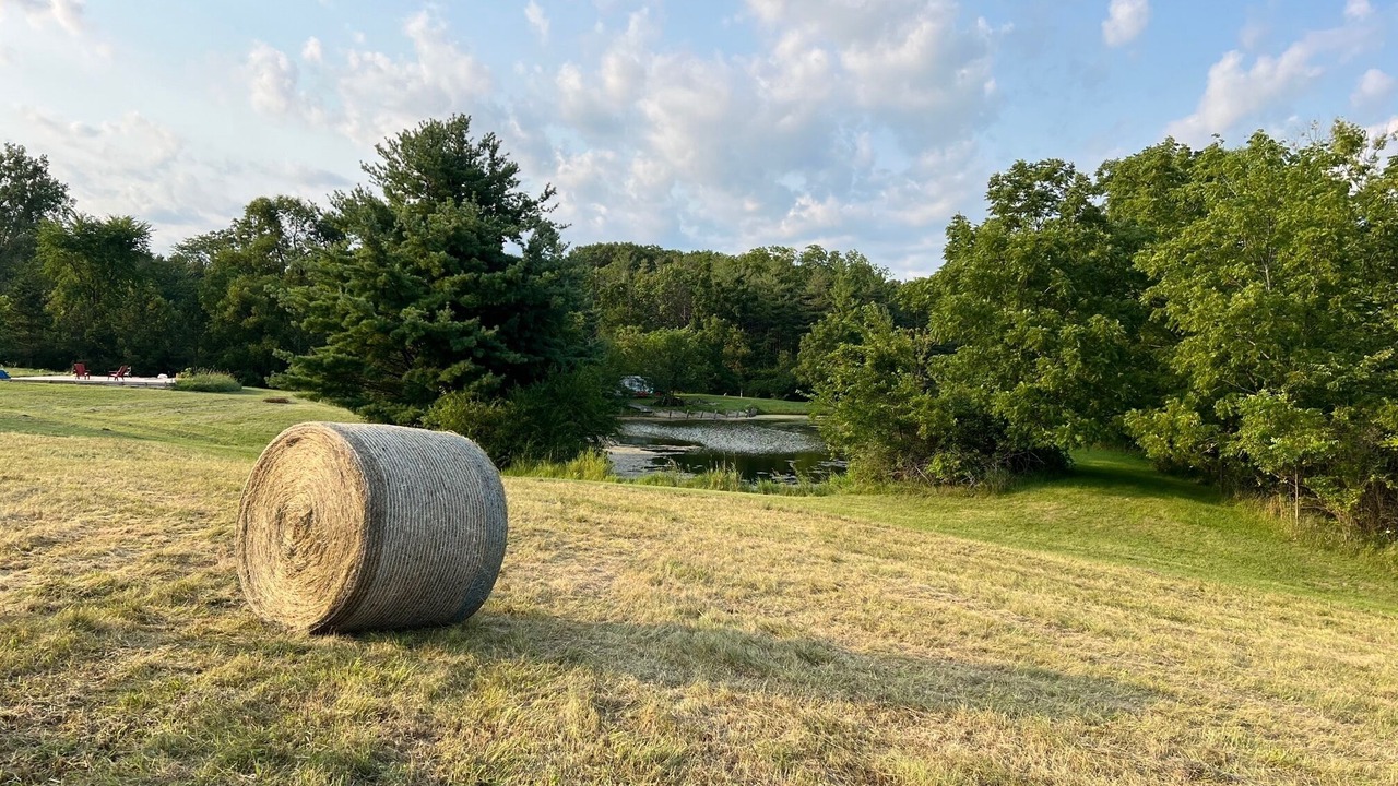 Photo of Outdoor in Marengo