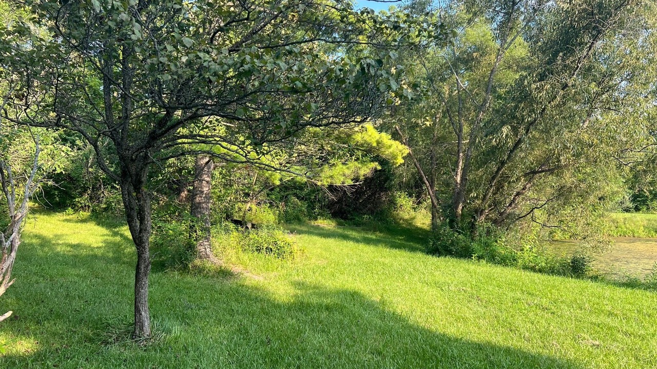 Photo of Outdoor in Marengo