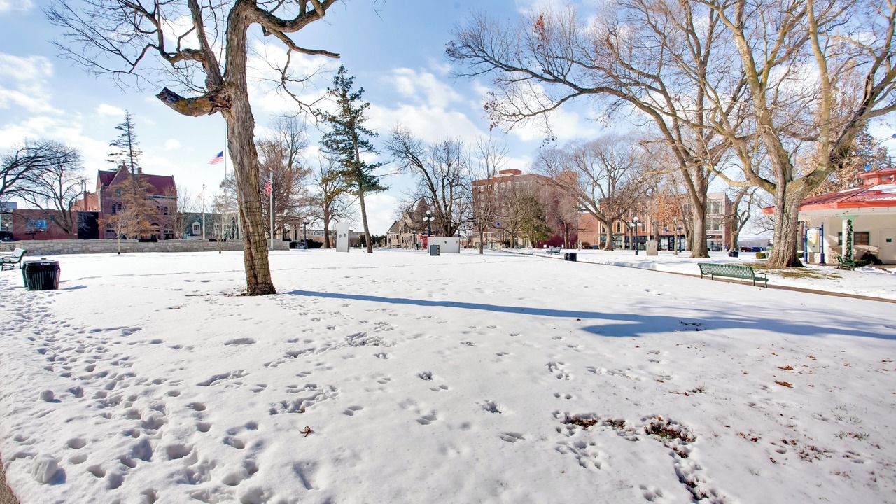 Photo of Others in Quincy