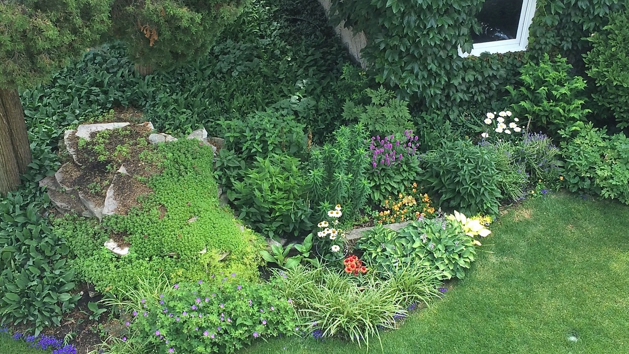 Photo of Outdoor in Edgewater