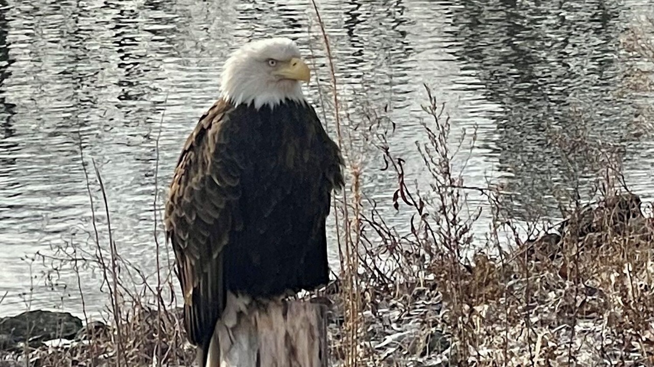 Photo of Others in Lynn Center