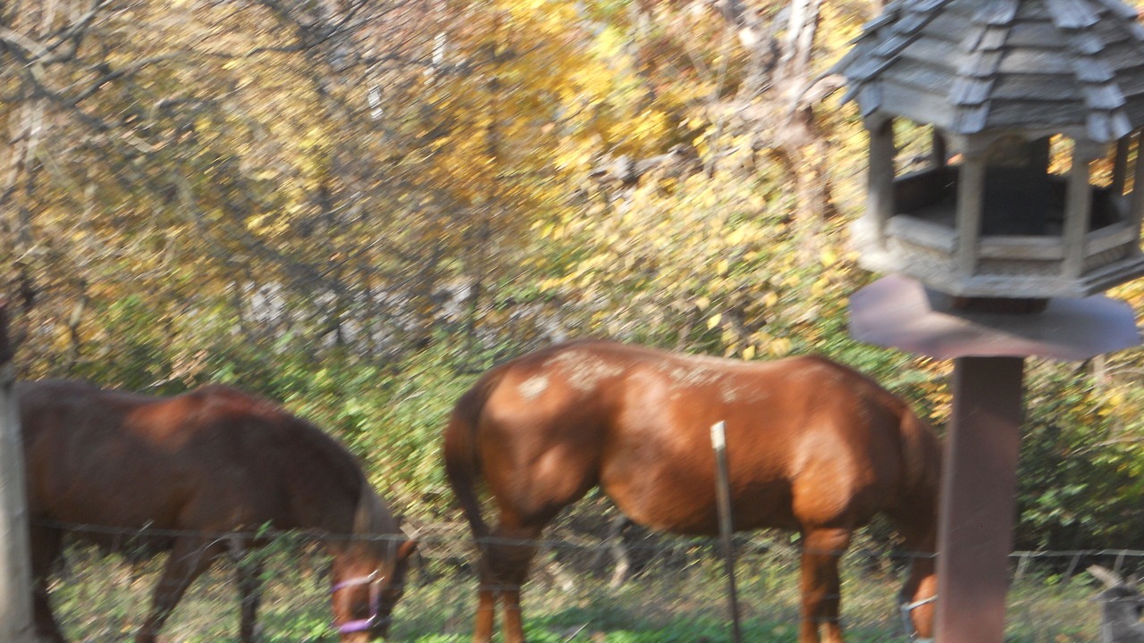 Photo of Others in Quincy