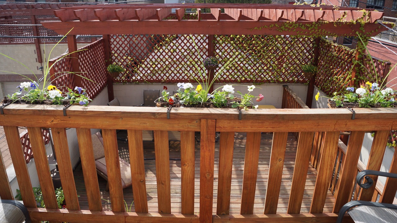 Photo of Outdoor in Lincoln Park