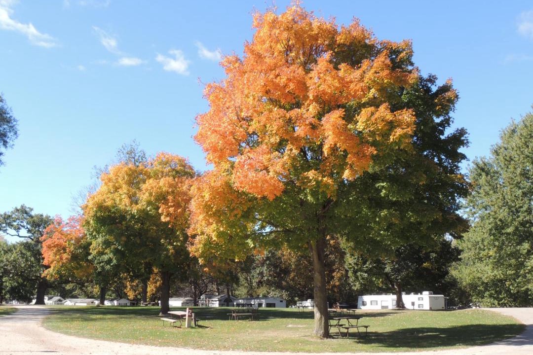 Photo of Outdoor in Amboy