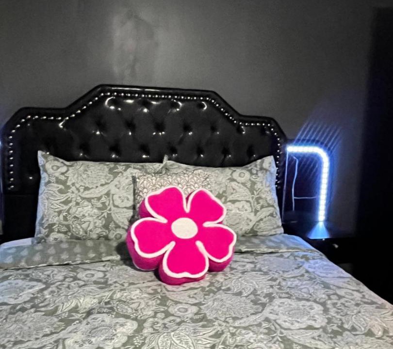 Photo of Bedroom in Des Plaines