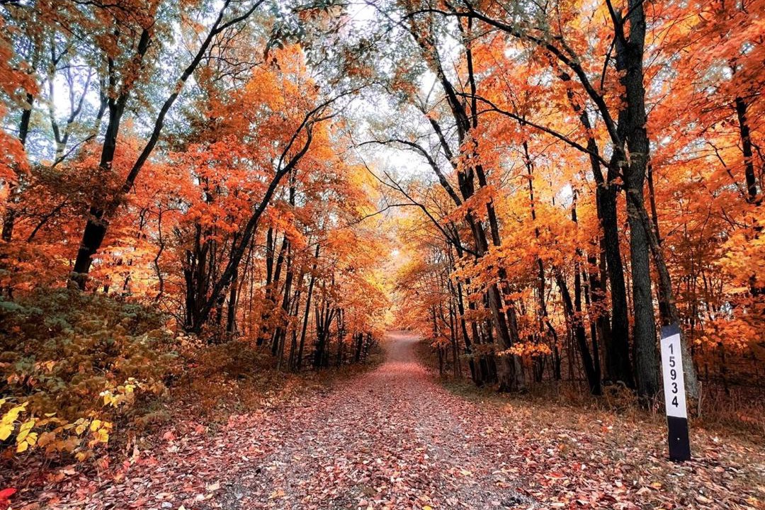 Photo of Others in Lane