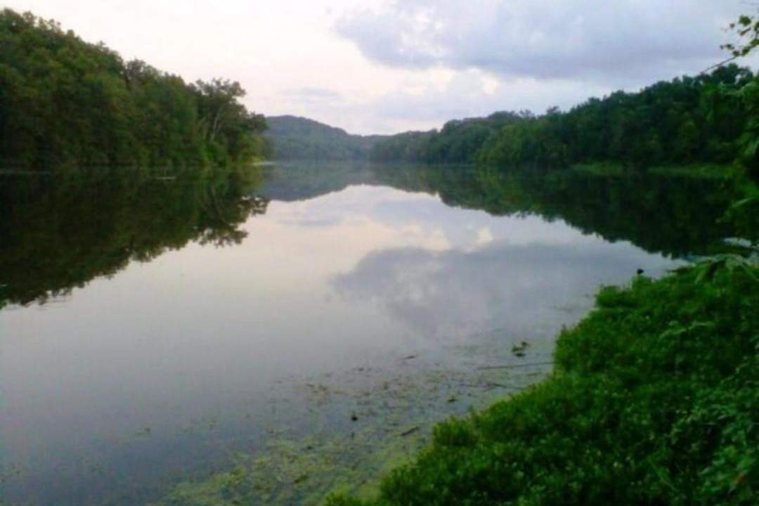 Photo of Others in The Galena Territory