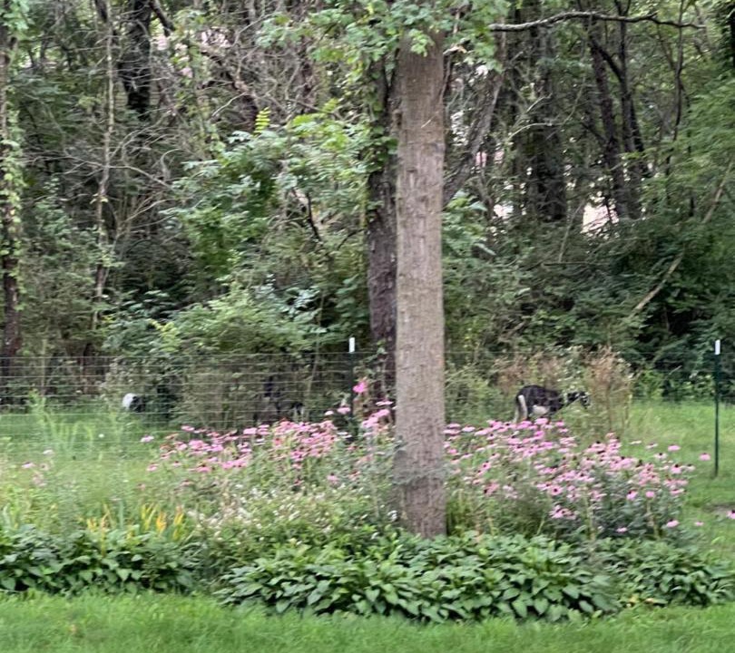 Photo of Others in Marengo