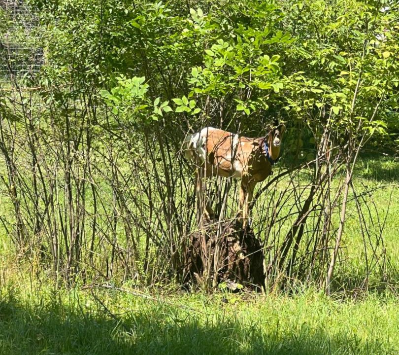 Photo of Others in Marengo