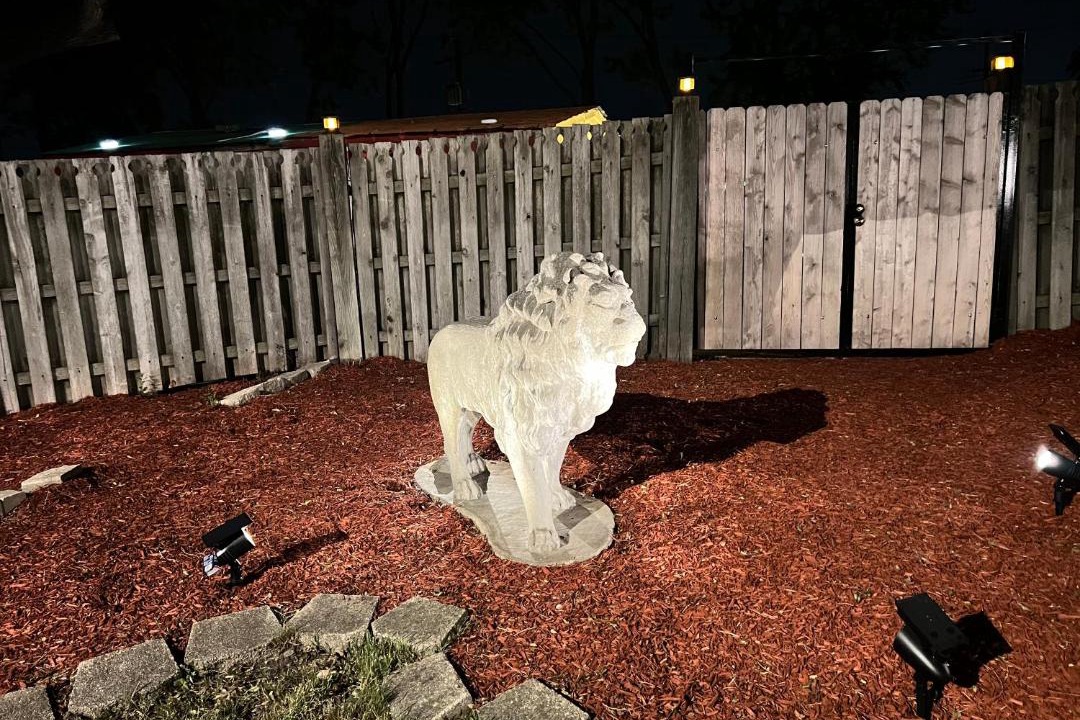 Photo of Others in Calumet Heights
