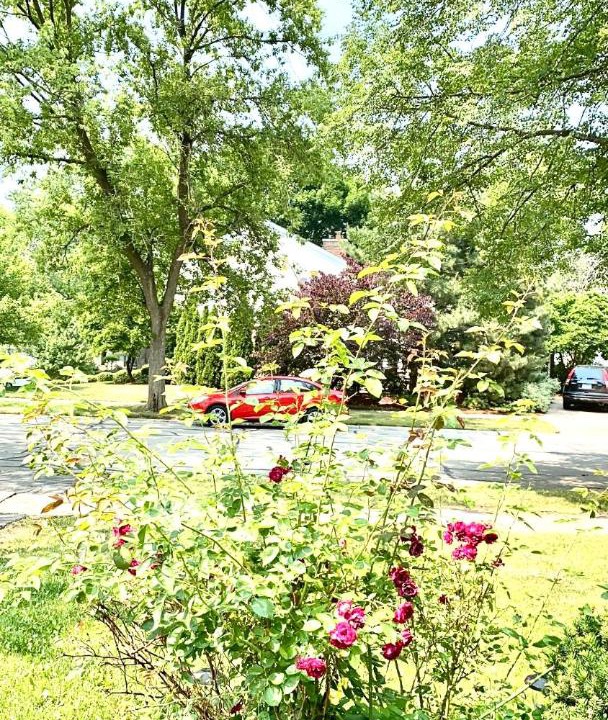 Photo of Others in Naperville