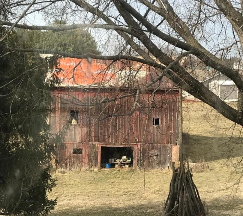 Photo of Others in Nauvoo