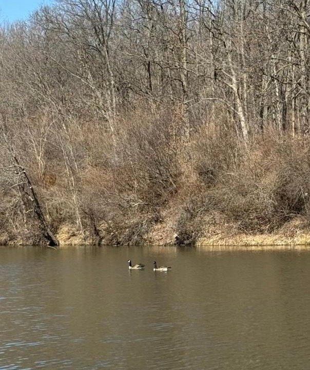 Photo of Others in Sullivan