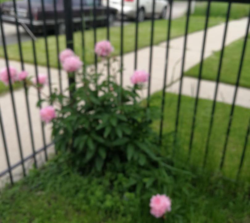 Photo of Others in Englewood