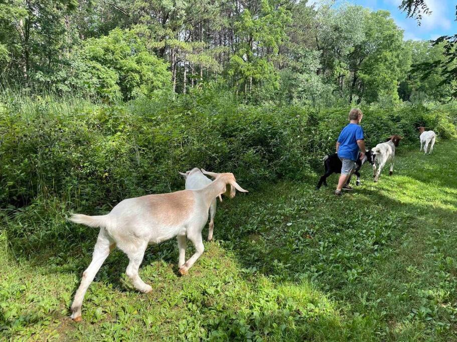 Photo of Others in The Galena Territory
