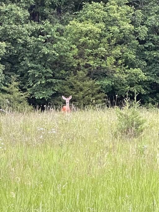 Photo of Others in The Galena Territory