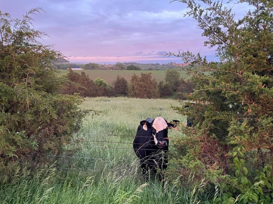 Photo of Others in The Galena Territory