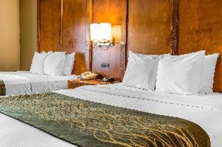 Photo of Bedroom in Romeoville